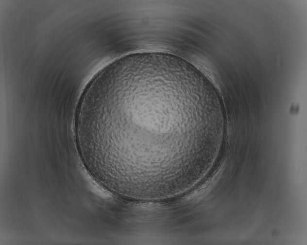 X0000091560797200708241815