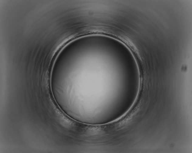 X0000091560798200708241815