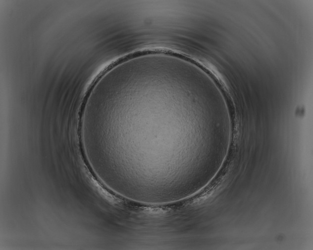 X0000091560799200708241815