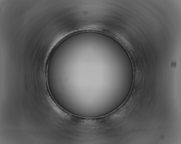 X0000091560800200708241815