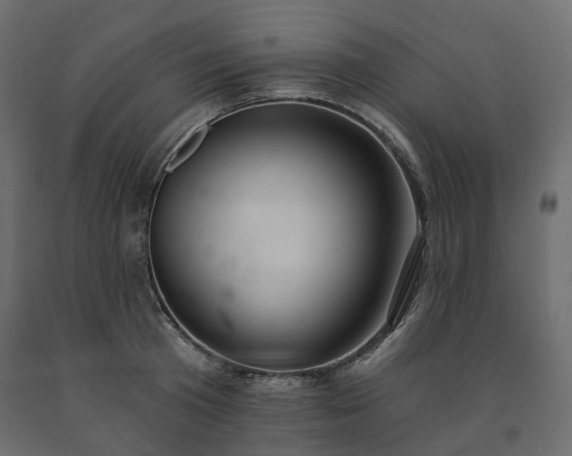 X0000091560801200708241815