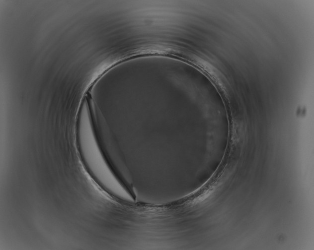 X0000091560802200708241815