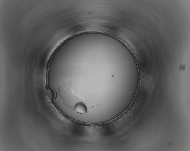 X0000091560804200708241815