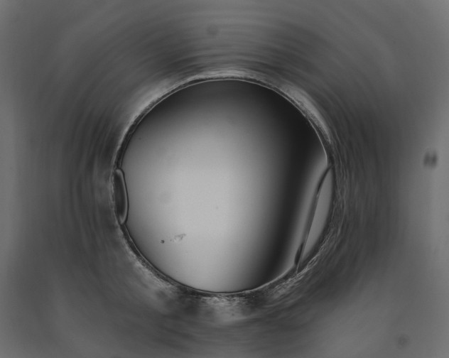 X0000091560805200708241815