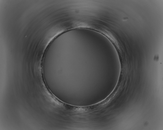 X0000091560806200708241814