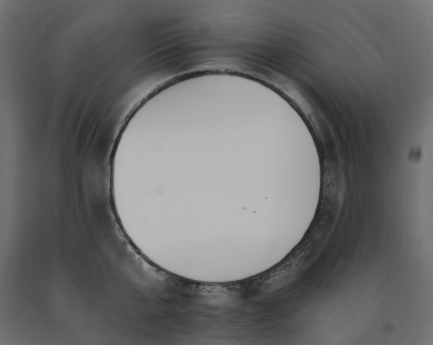 X0000091560807200708241814