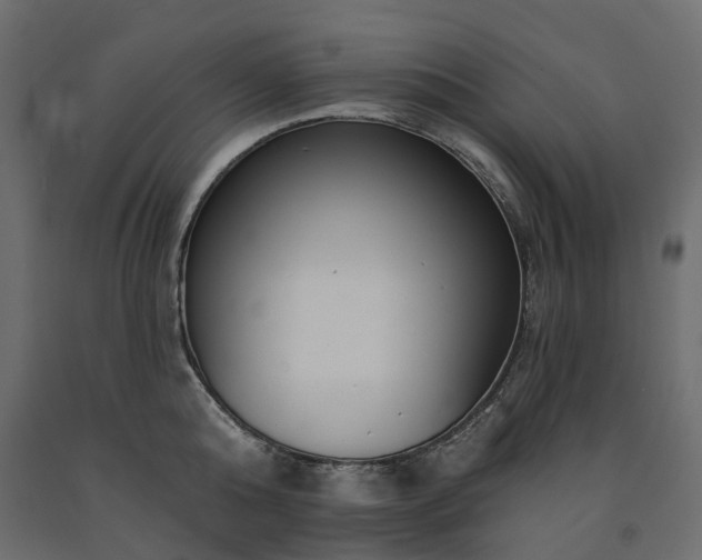 X0000091560808200708241814