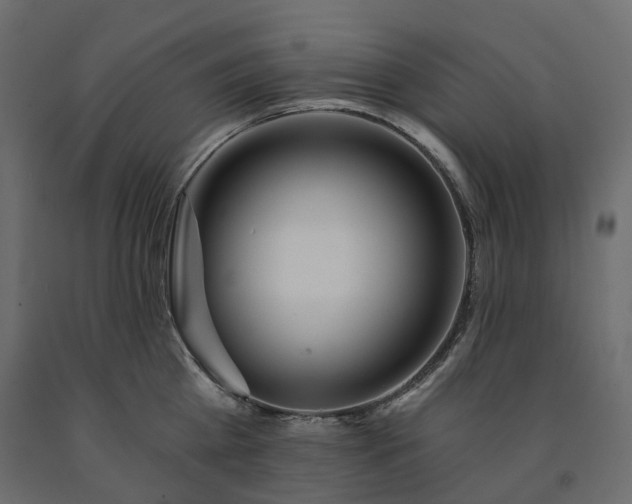 X0000091560809200708241814