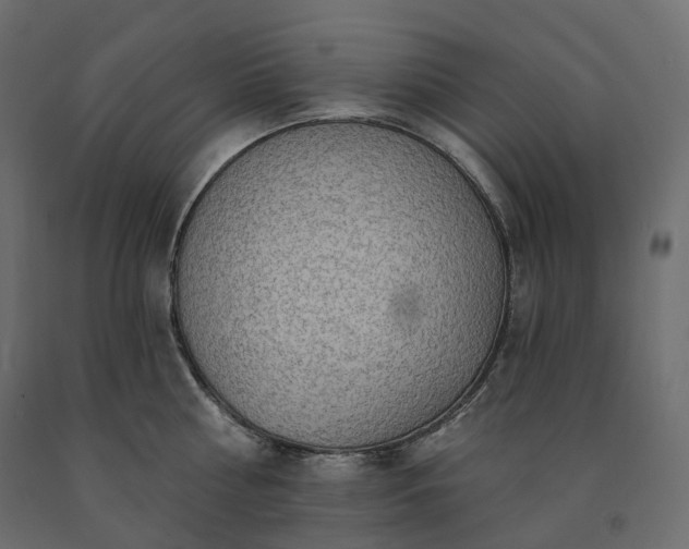 X0000091560810200708241814