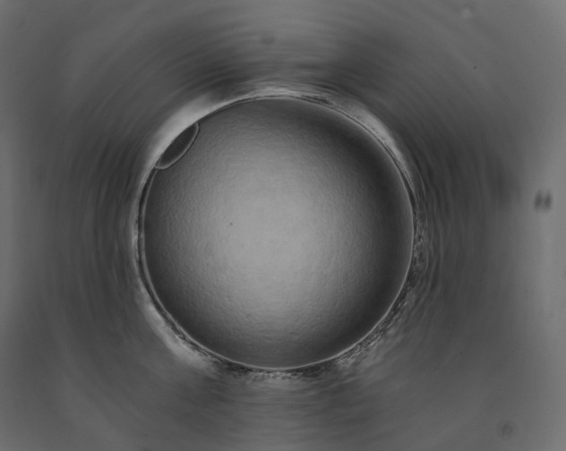 X0000091560811200708241814