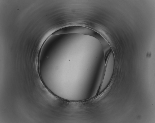 X0000091560812200708241814