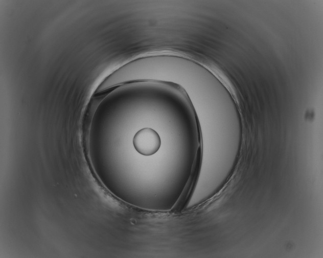 X0000091560813200708241814