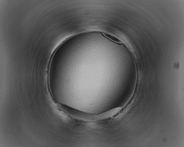 X0000091560814200708241814