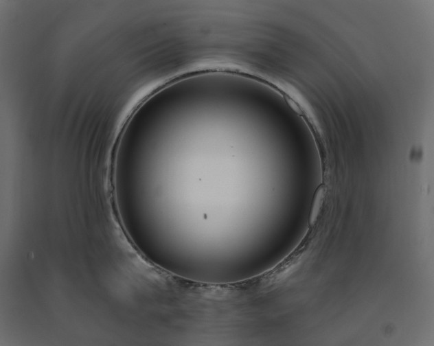 X0000091560815200708241814