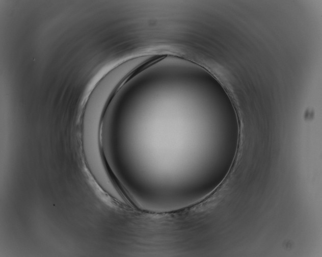 X0000091560816200708241814