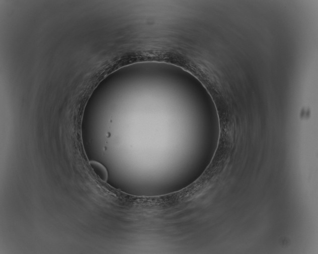 X0000091560817200708241814