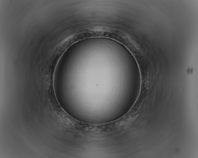 X0000091560821200708241814