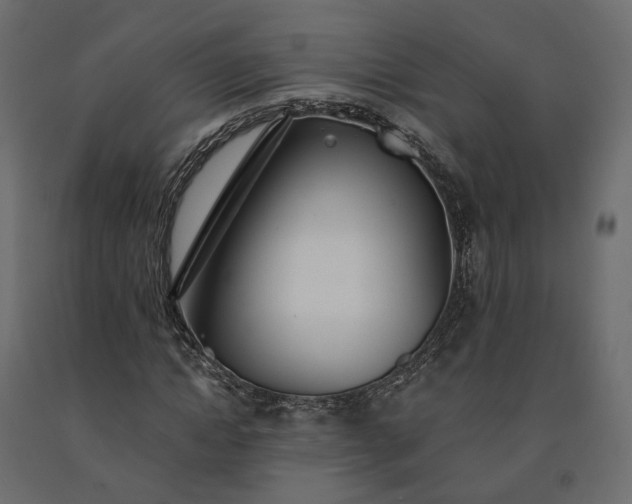 X0000091560822200708241814