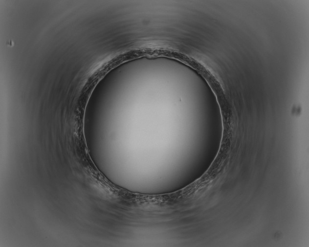 X0000091560823200708241814