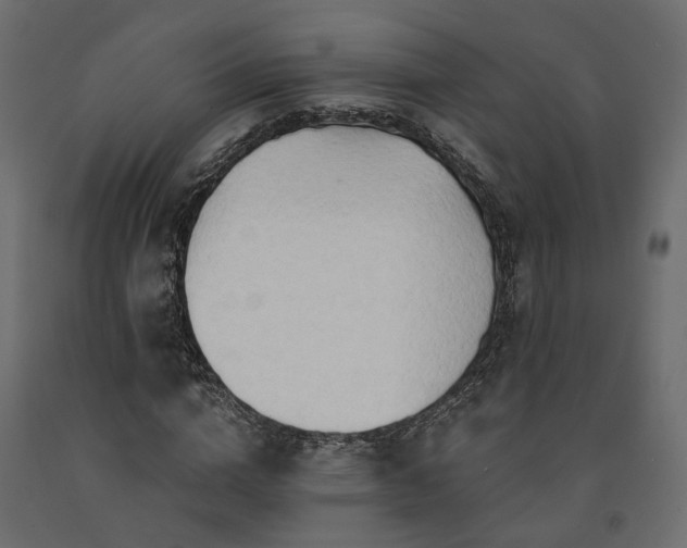 X0000091560824200708241814