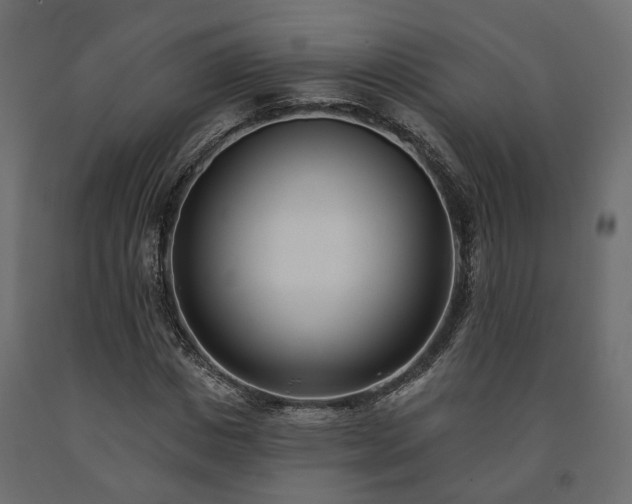 X0000091560825200708241814