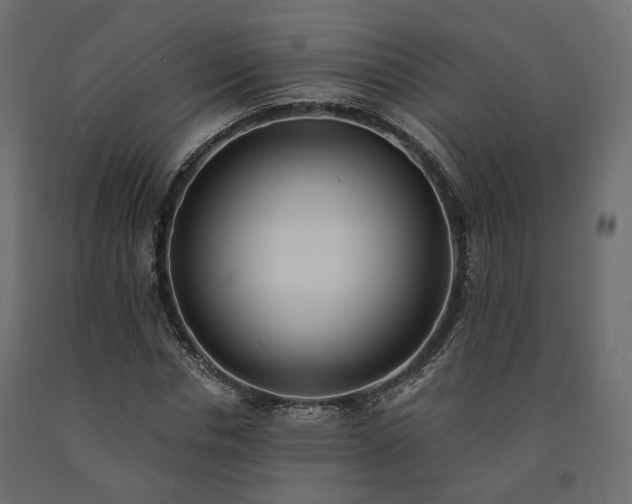 X0000091560826200708241814