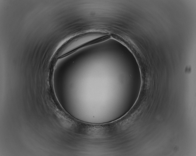 X0000091560830200708241814