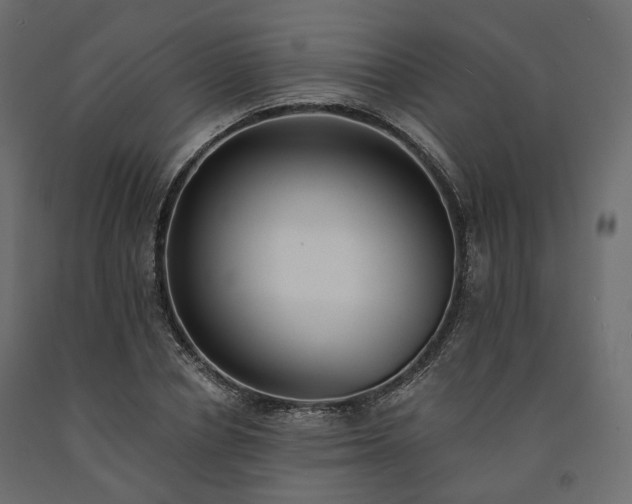 X0000091560834200708241814