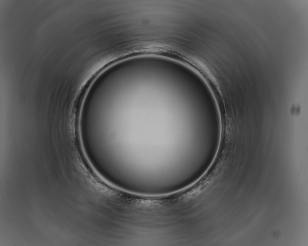 X0000091560835200708241814