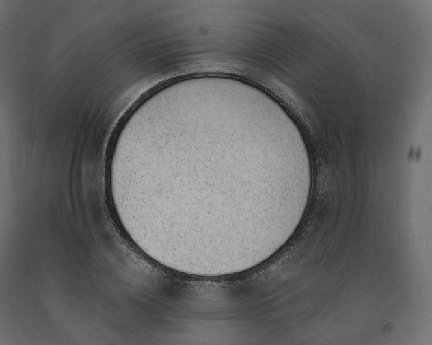 X0000091560836200708241814