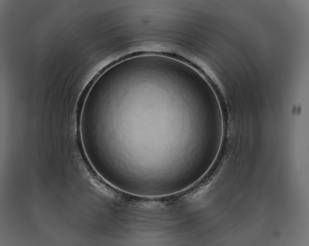 X0000091560837200708241814