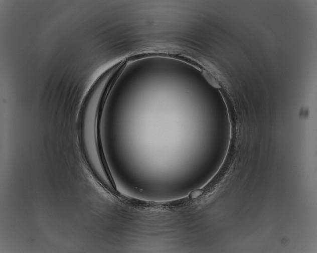 X0000091560838200708241814