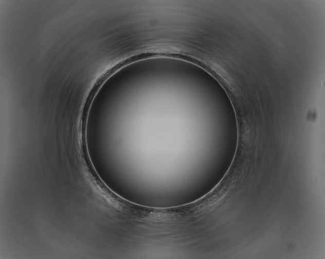 X0000091560840200708241814