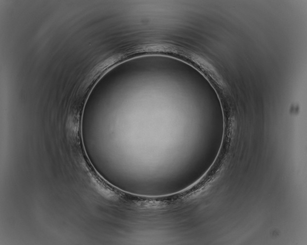 X0000091560841200708241814