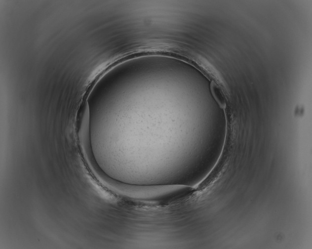 X0000091560842200708241814