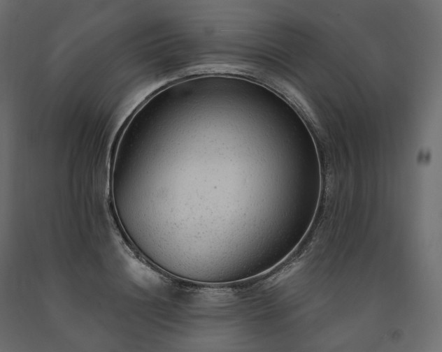 X0000091560844200708241814