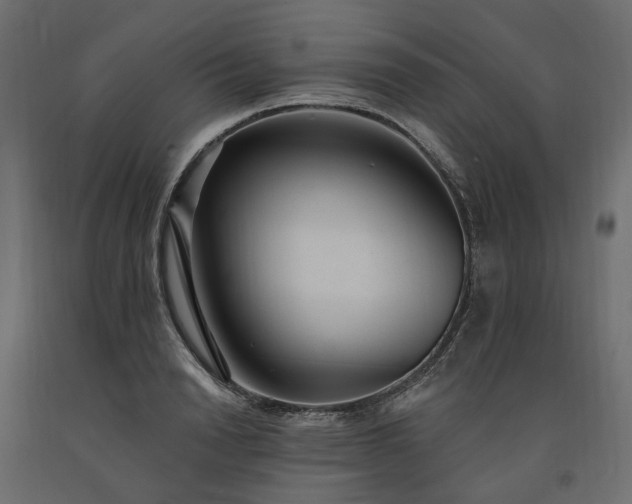 X0000091560846200708241814