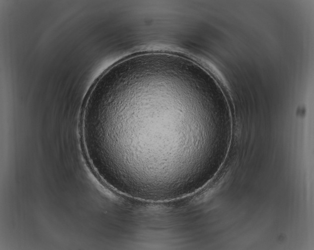 X0000091560847200708241814