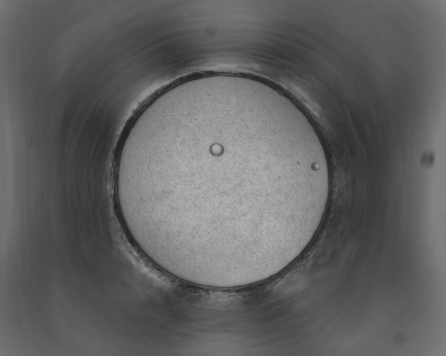 X0000091560848200708241814