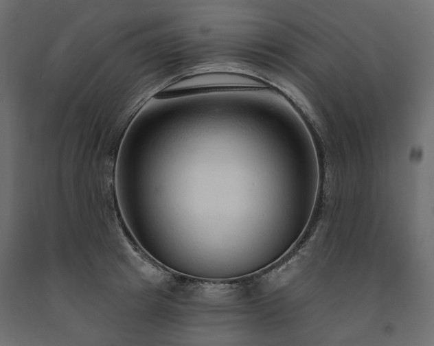 X0000091560849200708241814