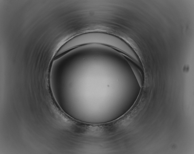 X0000091560850200708241814