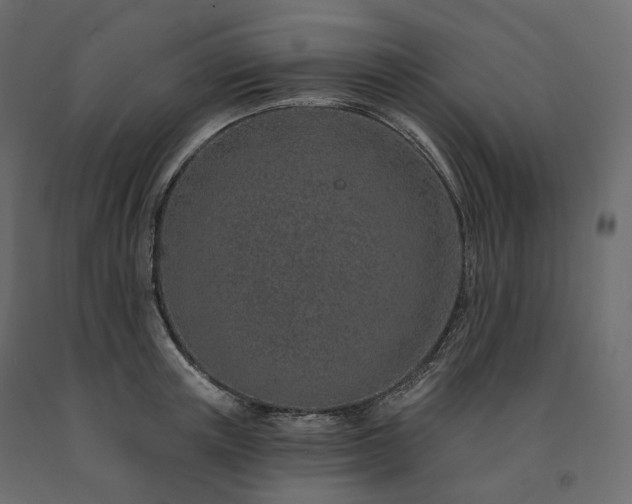 X0000091560851200708241814