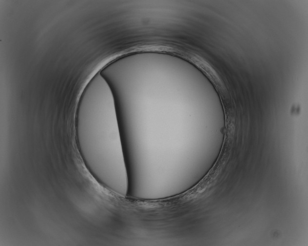 X0000091560852200708241814