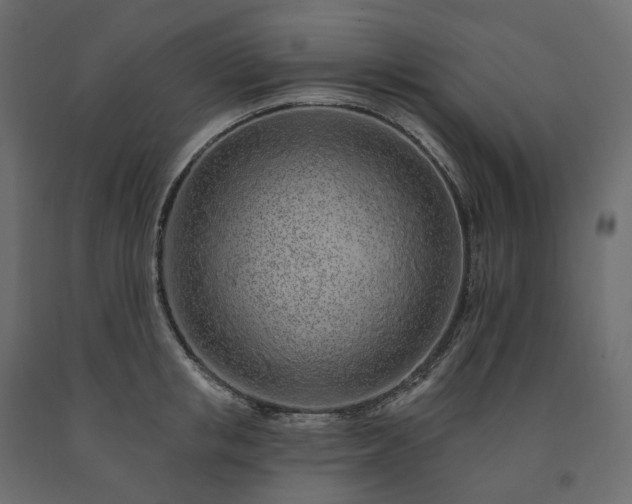 X0000091560853200708241814