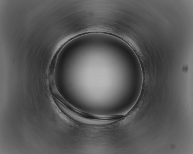 X0000091560854200708241814