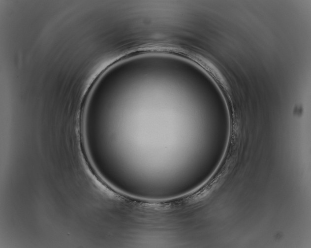 X0000091560855200708241814