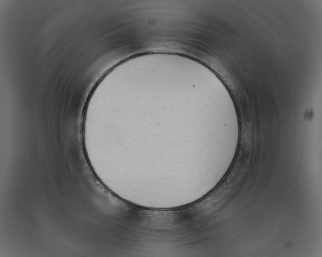 X0000091560856200708241814