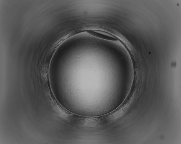 X0000091560857200708241814