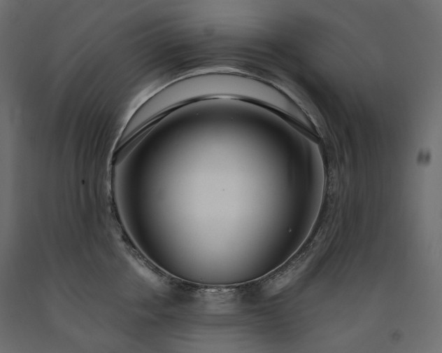 X0000091560858200708241814