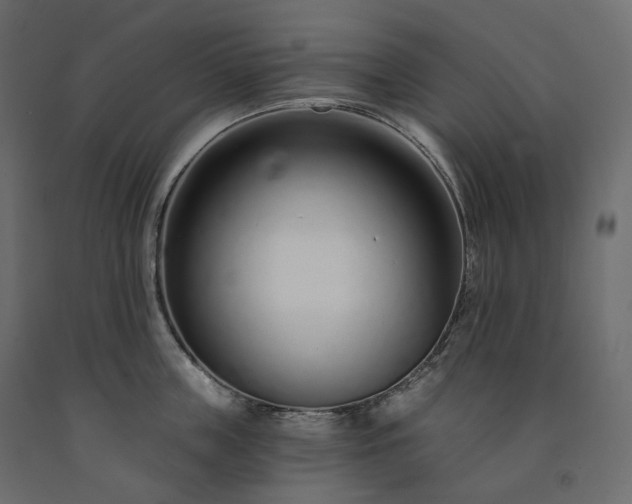 X0000091560859200708241814